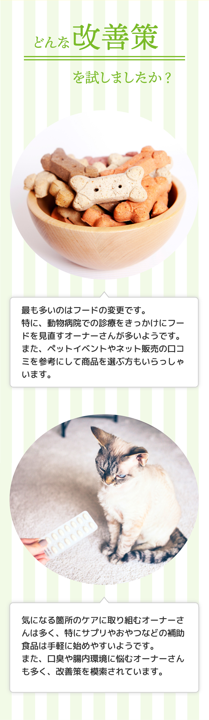 ペットの健康維持・改善策として最も多いのはフードの変更です。動物病院での診療をきっかけにフードを見直したり、ペットイベントやネット販売の口コミを参考にして商品を選ぶ方も多くいます。また、サプリやおやつなどの補助食品を手軽に取り入れるオーナーも増えており、口臭や腸内環境の改善にも積極的に取り組まれています。